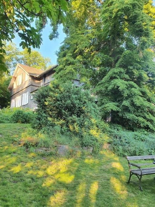 Ferienhaus Dreamholiday - Stilvolles Grosses Ferienhaus Mit Garten Mittelhof Buitenkant foto