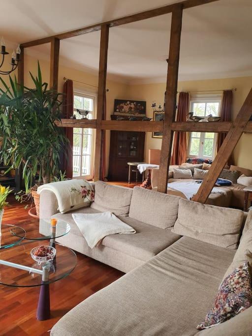 Ferienhaus Dreamholiday - Stilvolles Grosses Ferienhaus Mit Garten Mittelhof Buitenkant foto